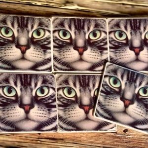 Six gorgeous cat coasters ceramic